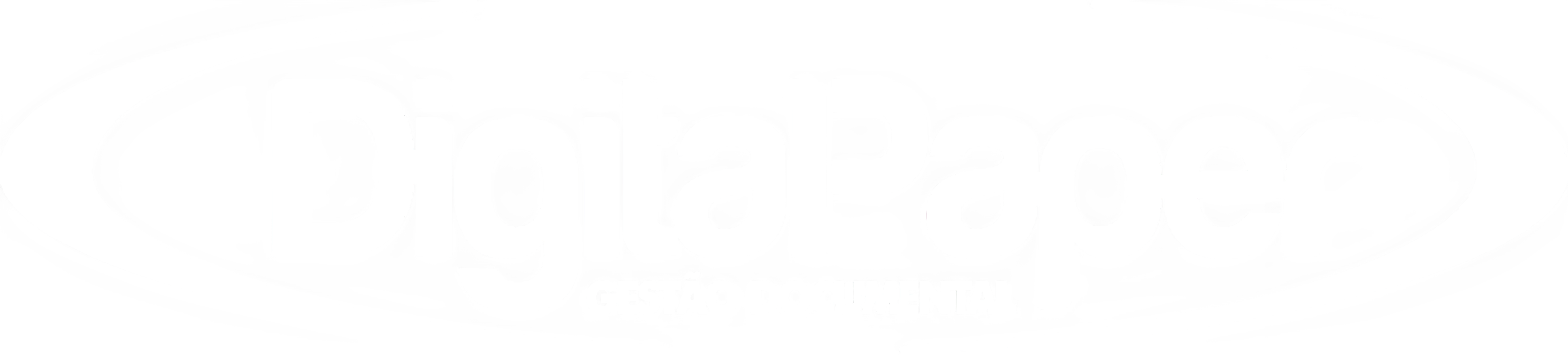 Logo DigitalPaper